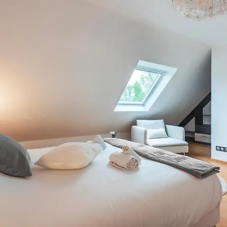Apartment Le Serenity - Maison Proche Gare Hagenau